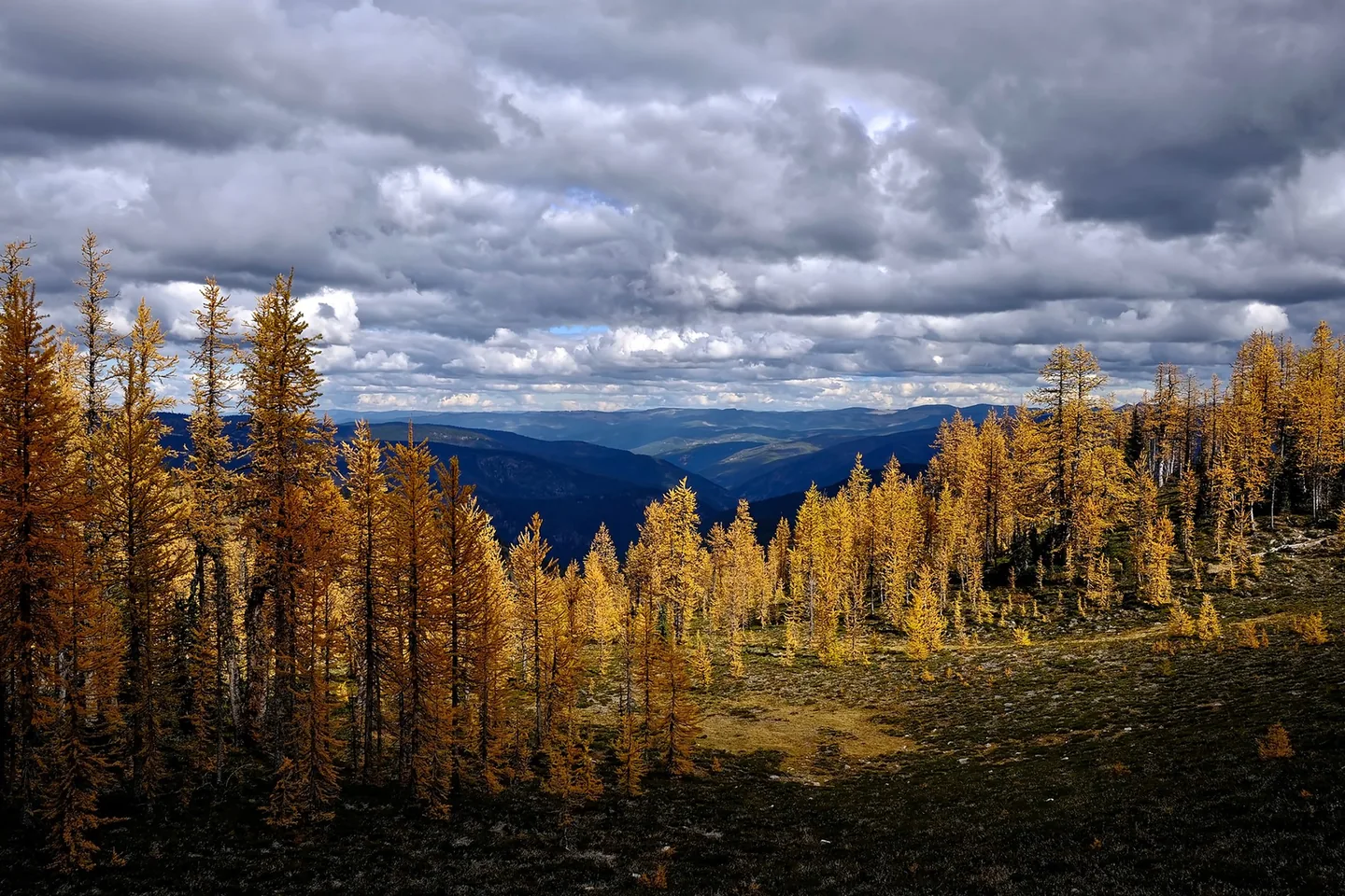 Thompson River valley near the Ashton property, southern BC