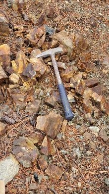 Phyllic_altered_diorite